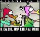 Curiosit�
